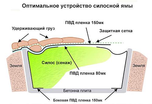Полиэтиленовая пленка 80 мкм опт фото 3