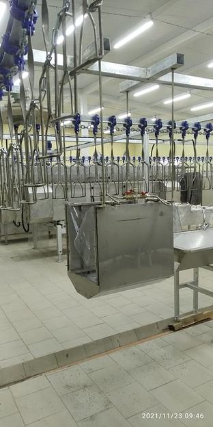 Камера душирования тушек птиц ВИ-1022.57 фото 1