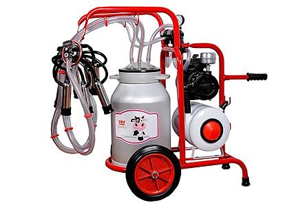 Доильный аппарат тандем на 2 коровы Melisamilk (Турция) фото 1