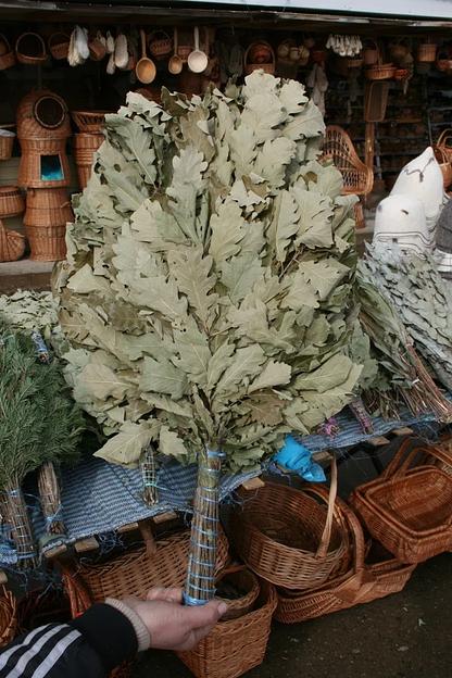 Веник Канадский дуб ОПТ фото 3