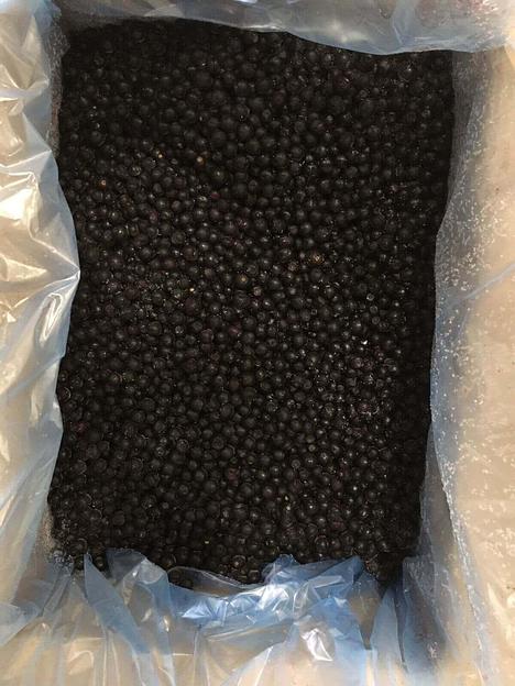 Черника дикорастущая - собственный сбор (механическая очистка) 10 кг Опт фото 1