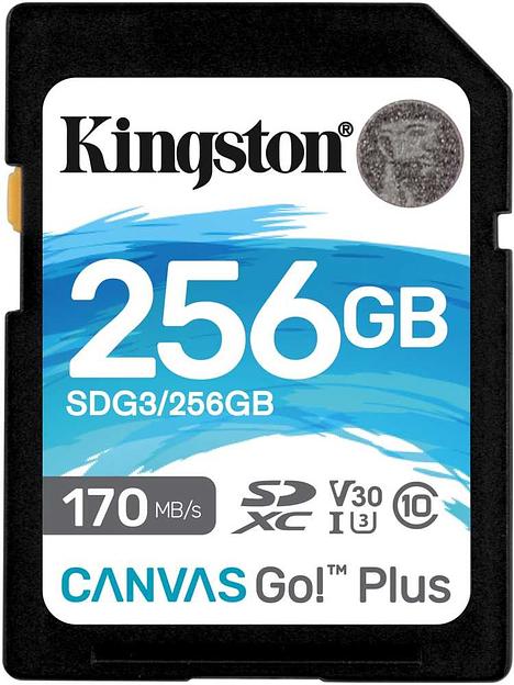 Флеш карта SDXC 256Gb Class10 Kingston SDG3/256GB Canvas Go! Plus w/o adapter фото 1