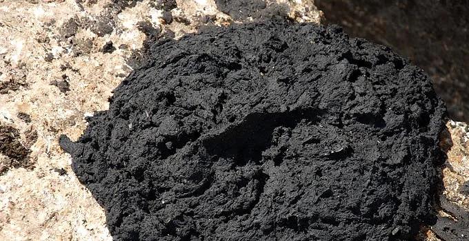 Ил для строительства фото 2