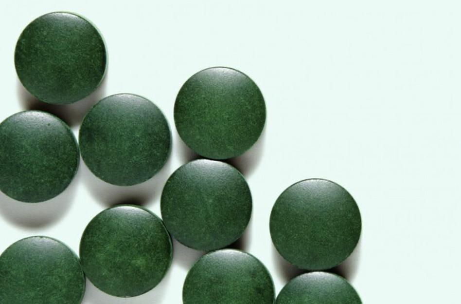 Высушенные водоросли «Келп» в таблетках WOWFOODS, опт фото 1