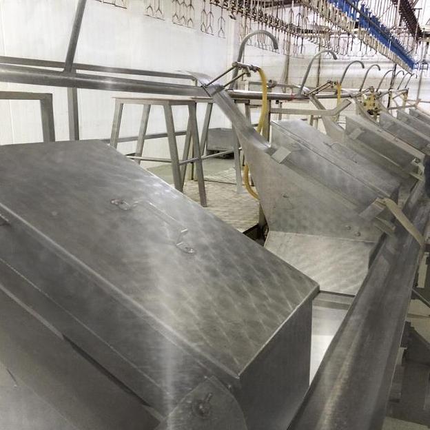 Машина обрезки печени от пакета внутренностей у птиц фото 1