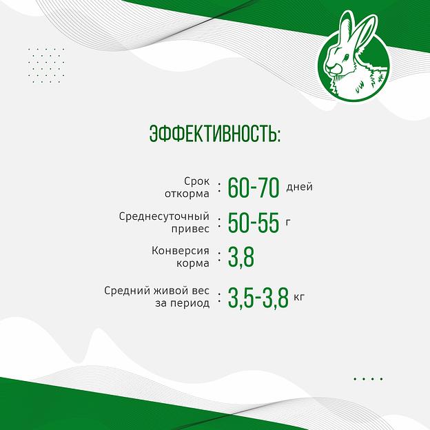 Полнорационный комбикорм с витаминно-травяной мукой для кроликов «УБОЙНЫЙ КОРМ» фото 6