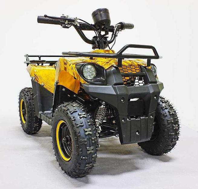 Квадроцикл GreenCamel Гоби K45 (36V 800W R6 Цепь) быстросъём, ножной тормоз, золотая осень фото 2