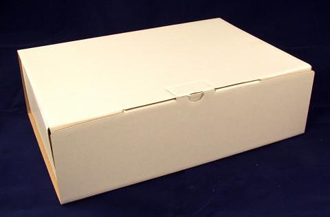 Короб архивный, белый, 100 мм, 2108-437 фото 1