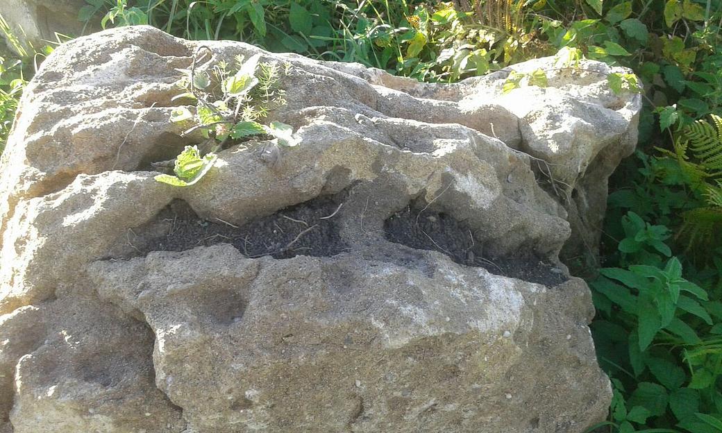 Валун гигант Ласточкино гнездо /тн (1500-2000 мм) фото 1