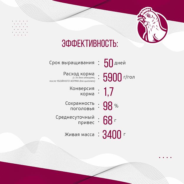 Полнорационный комбикорм для бройлеров «УБОЙНЫЙ КОРМ» фото 6