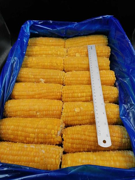 Кукуруза в початках замороженная. фото 1