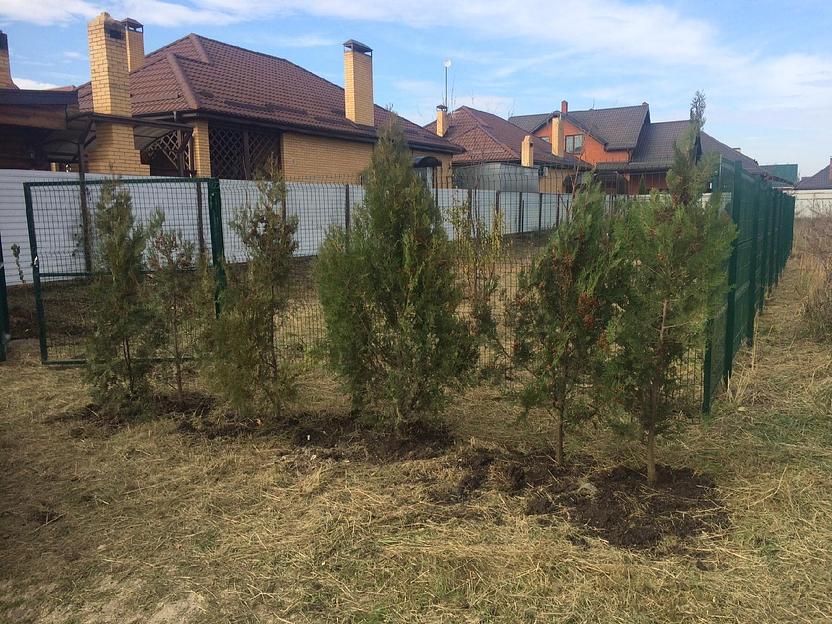 Забор 3Д 2430×2500×4 мм опт фото 3