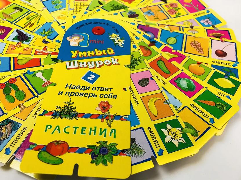 Обучающая игра МКИ «Умный шнурок №2» растения-мини фото 3