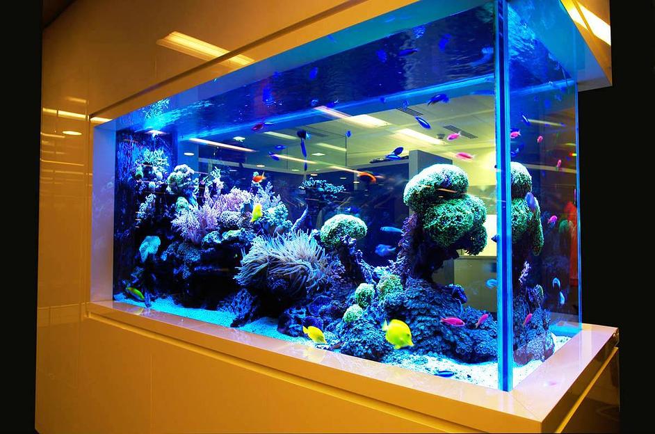 Стеклоизделия под заказ фото 8