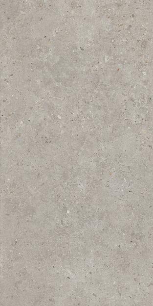 Керамогранит Kerama Marazzi Риккарди серый светлый матовый обрезной 600x1195 фото 1