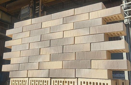 Кирпич керамический лицевой Recke 1-82-00-2-00 1NF М200 опт фото 3