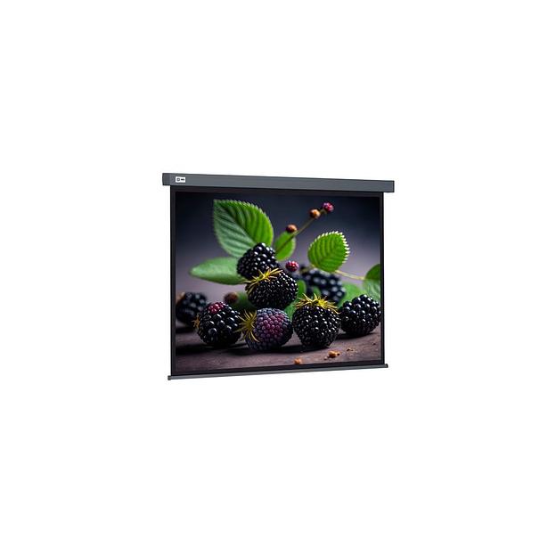 Экран Cactus Wallscreen CS-PSW-127X127-SG, 127х127 см, 1:1, настенно-потолочный серый фото 1