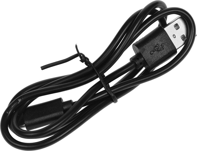 Подставка для ноутбука Digma D-NCP170-2x110RGB 18" 400x288x45мм 52дБ 2xUSB 2x 110ммFAN 1250г Fan-control металл/пластик черный фото 5