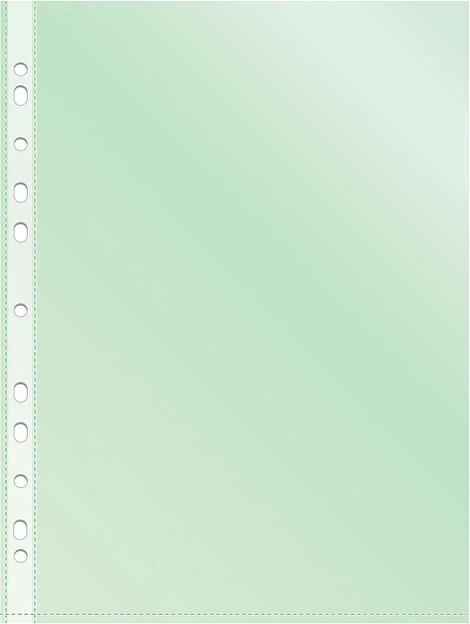 Папка-вкладыш Silwerhof Daily SD-CL ассорти глянцевые A4+ полипропилен 30мкм (упак.:50шт) фото 3