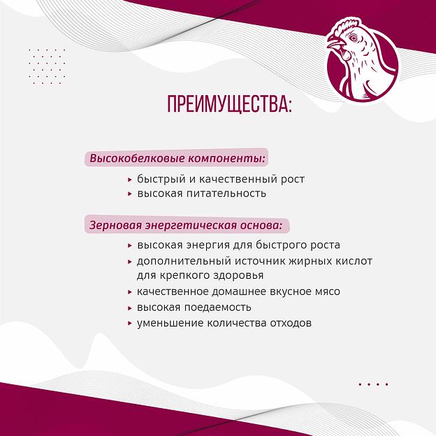 Полнорационный комбикорм для бройлеров «УБОЙНЫЙ КОРМ» фото 3