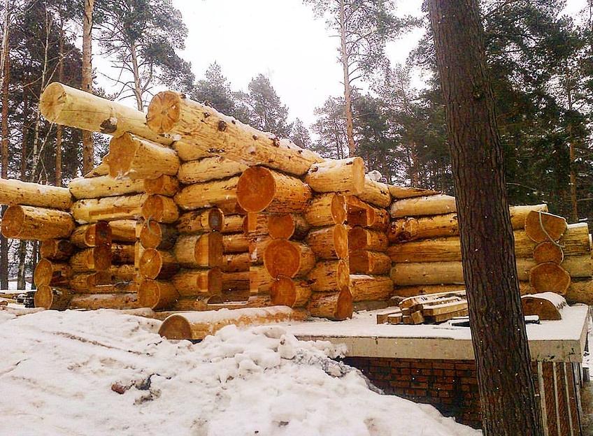 Кедровые срубы фото 4