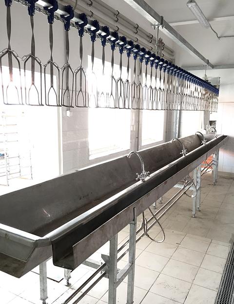 Желоб разборки потрохов ВИ-1015 фото 2