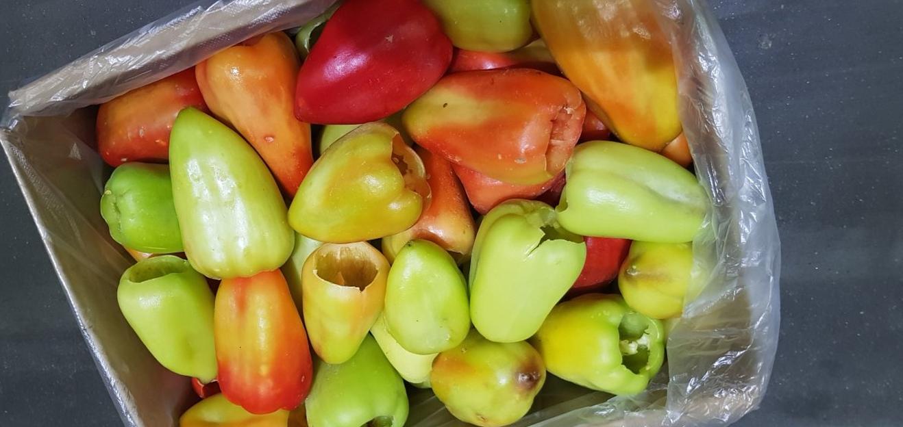 Перец целый замороженный Россия опт фото 1