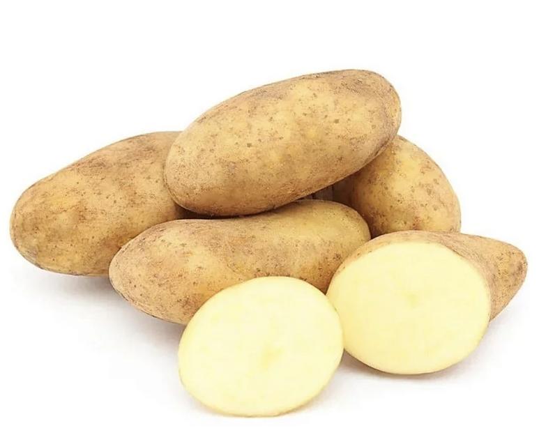 Картофель продовольственный 1250 кг, опт фото 1