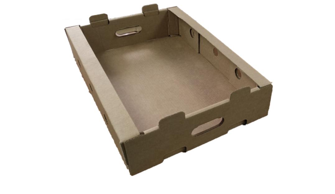 Лоток для овощей и фруктов 528х380х100 мм, опт фото 1