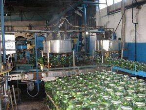 Линии производства соленых (маринованных) огурцов и томатов фото 3
