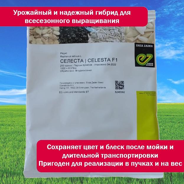 Семена редиса «Селеста», опт фото 6