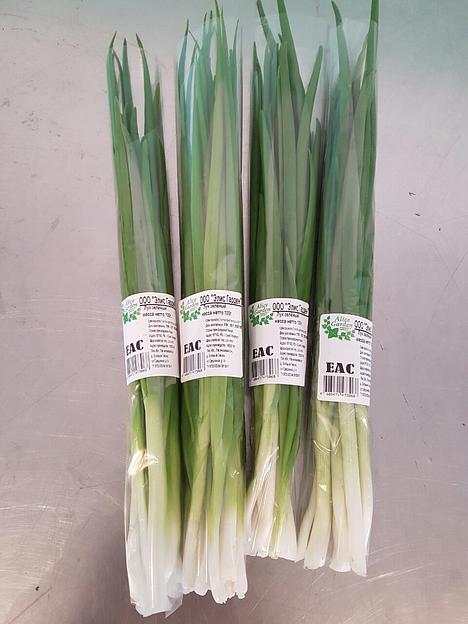 Лук зелёный Alice Garden 100 г ОПТ фото 9