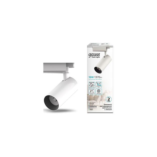 Светильник GAUSS TR081, 4000К, белый нейтральный, белый фото 1