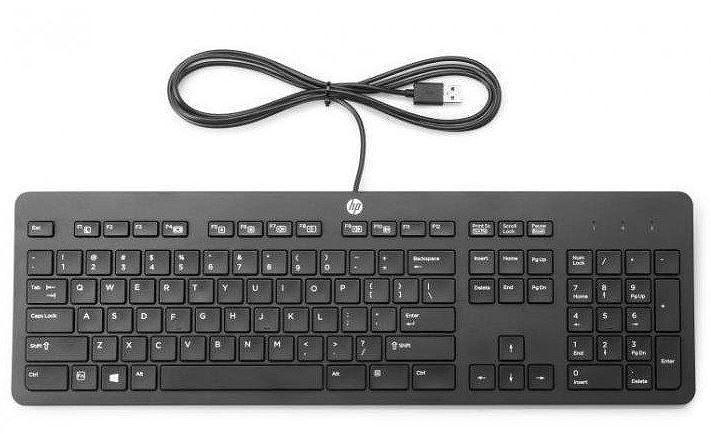 Клавиатура HP 125 USB Wired Keyboard 266C9A6 фото 1
