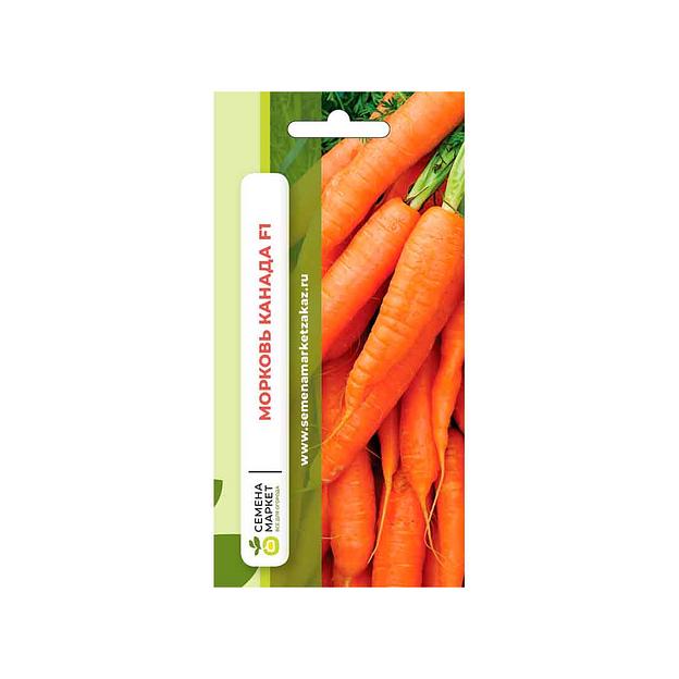 Посевные семена Морковь Канада F1, опт фото 1