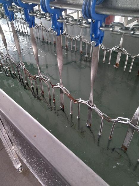 Ванна охлаждения после воскования тушек птицы фото 1