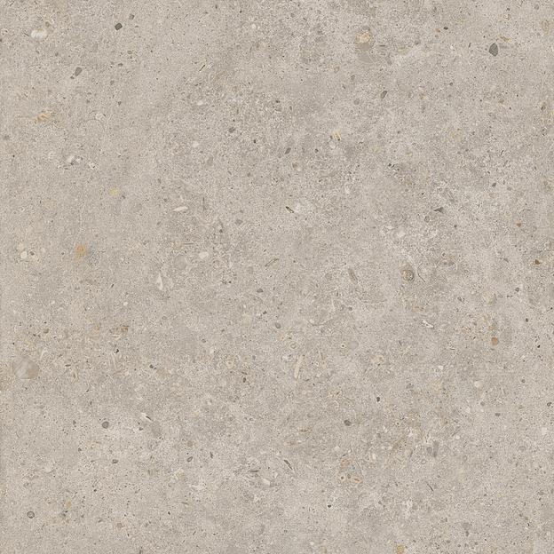 Керамогранит Kerama Marazzi Риккарди бежевый матовый обрезной 600x600 фото 1