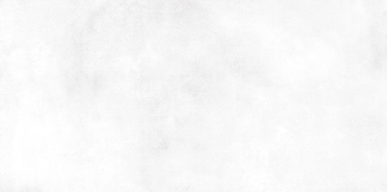 Плитка Alma Ceramica Richard TWU09RCD000 249x500 фото 1