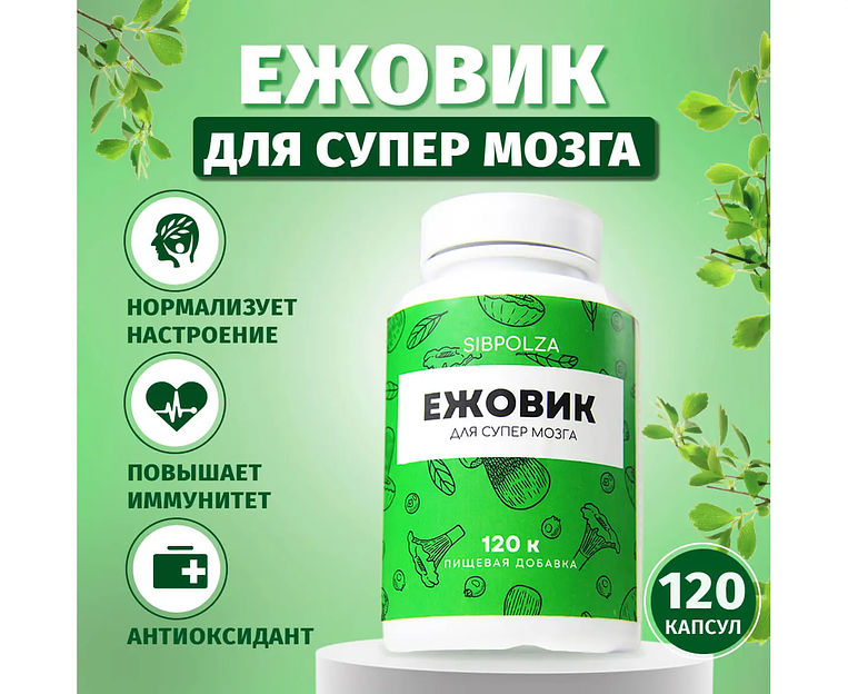 Пищевая добавка «Ежовик» 120 капс фото 2