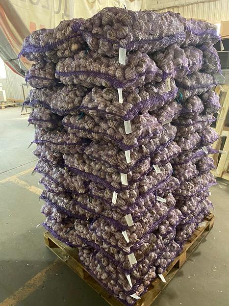 Чеснок свежий фото 3