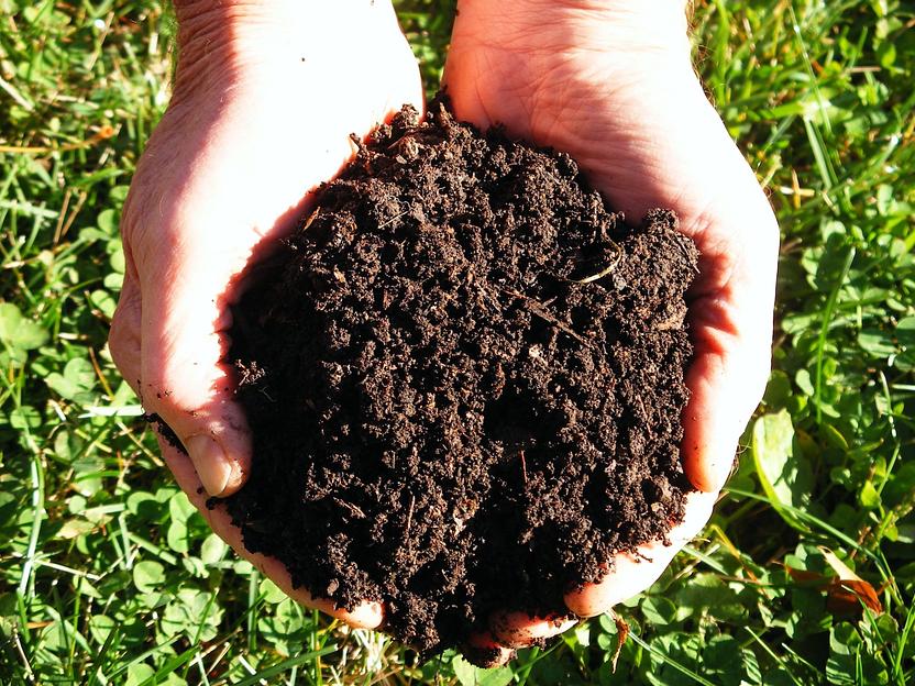 Питательный субстрат «Фабрика торфа» с удобрением Кмус 250 л опт фото 2