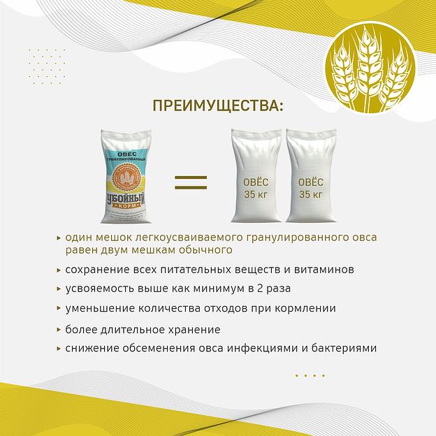 Овёс гранулированный «УБОЙНЫЙ КОРМ» фото 2