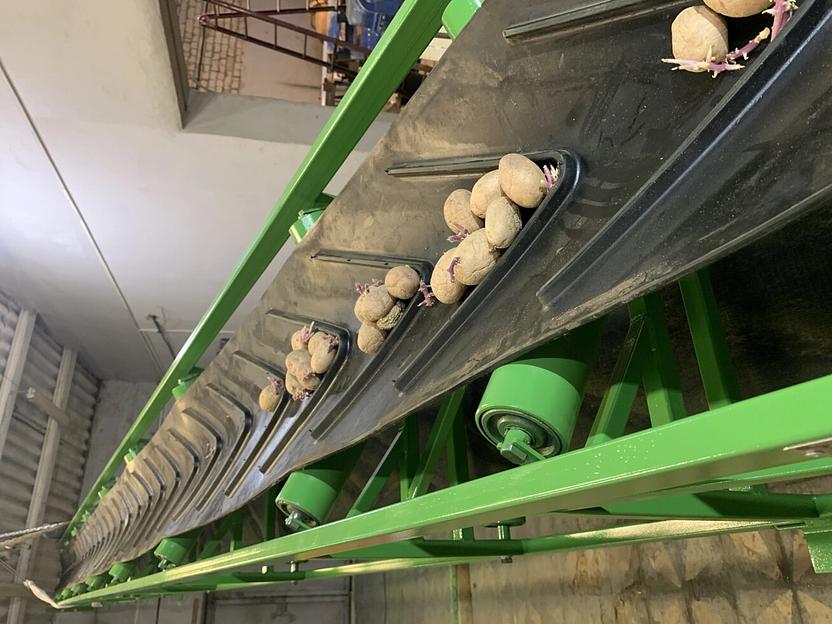 Желобчатый транспортер с шевронной лентой для зерна фото 3