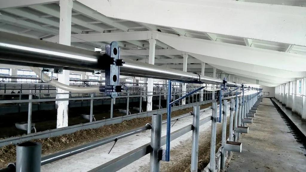 Молокопровод на 500 голов фото 1