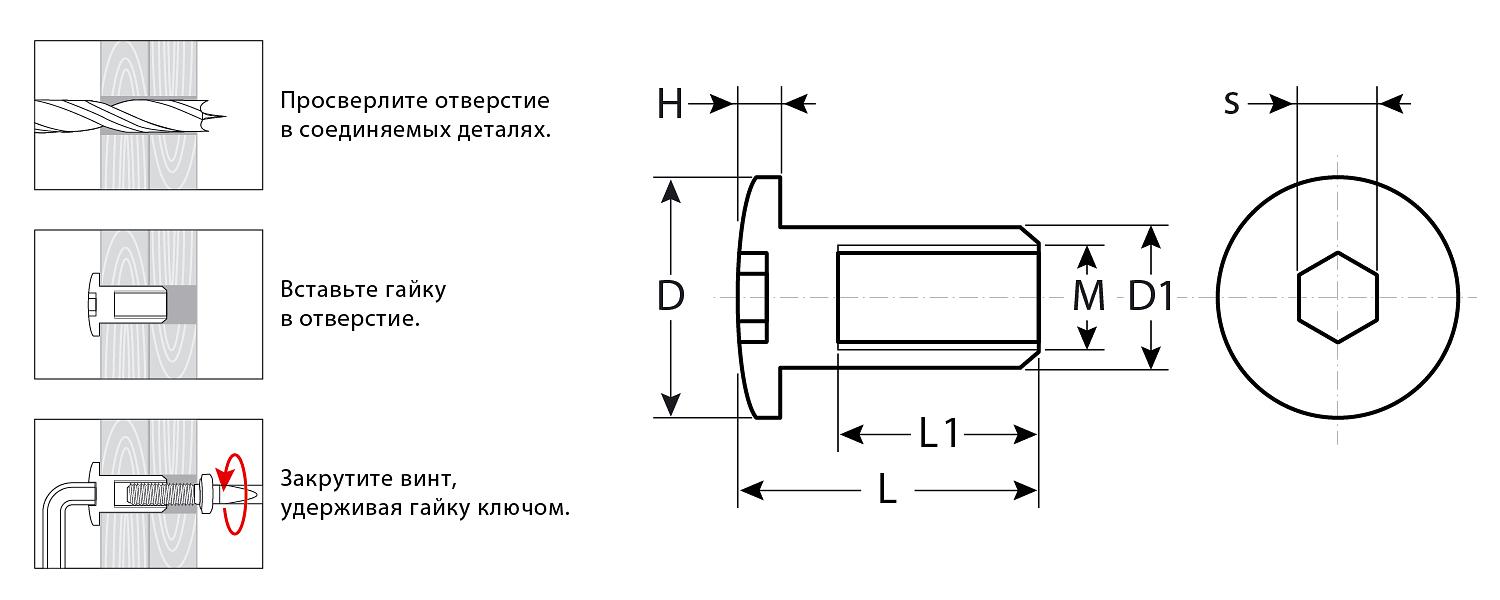 ЗУБР M6 x 12 мм, шест. 4 мм, цинк, 5 кг, гайка Эриксона с полукруглой головкой, Профессионал (303760-4) фото 2