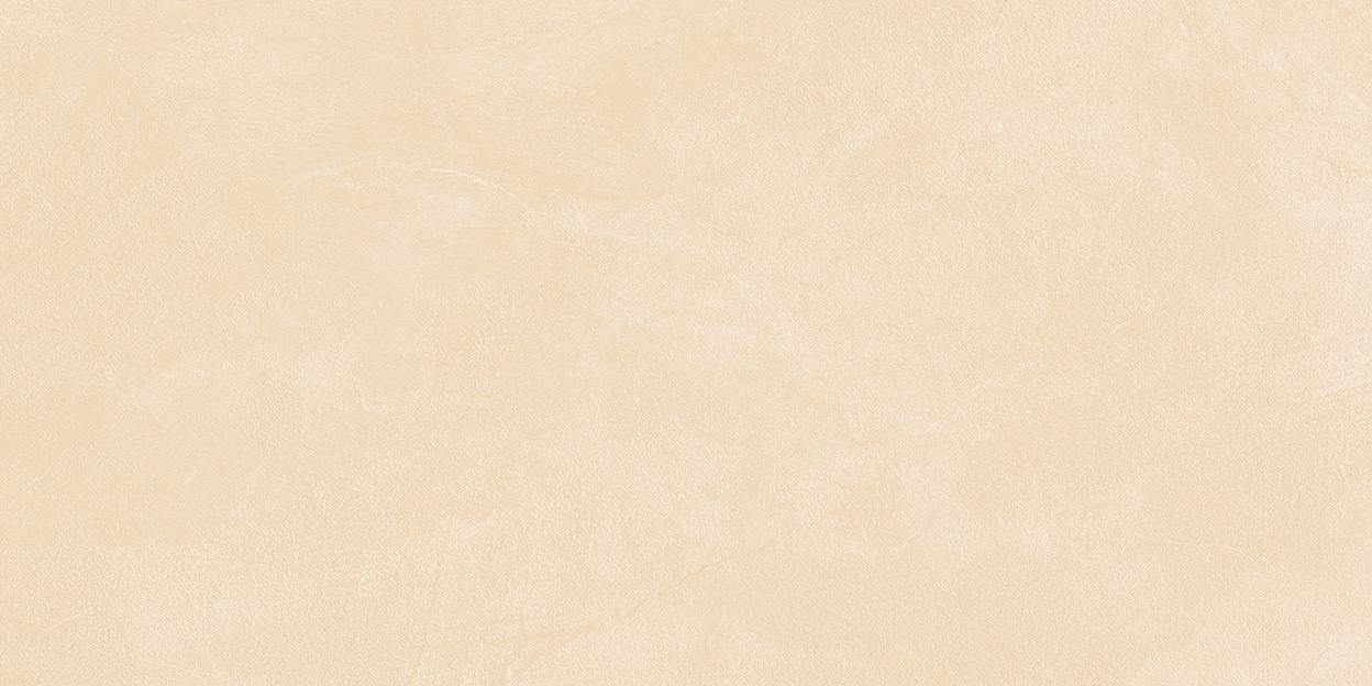 Керамогранит Alma Ceramica Stockholm GFA114STM40R сатинированный 570x1140 фото 1