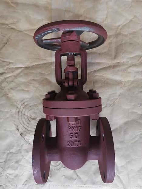 Задвижка клиновая 30лс41нж ДУ50 Ру16 фото 2