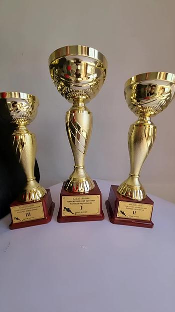 Шильд для наградных кубков ОПТ фото 1