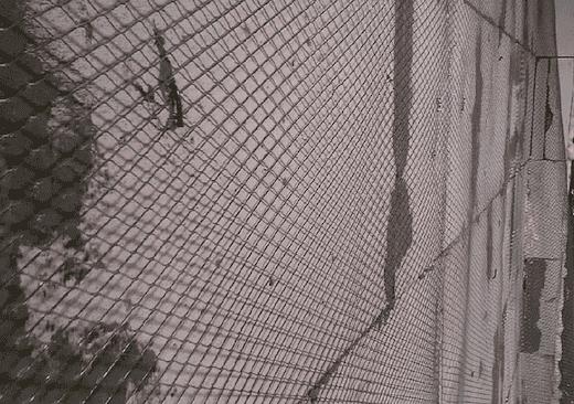 Цельнометаллическая просечно-вытяжная сетка (ЦПВС) фото 7