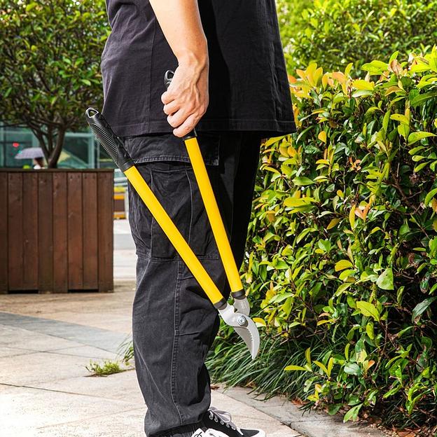 Набор сучкорез, кусторез, секатор Deli DL580003 длина 67/52/20 см, макс. диаметр реза 30/6/15 мм, сталь 55С фото 4